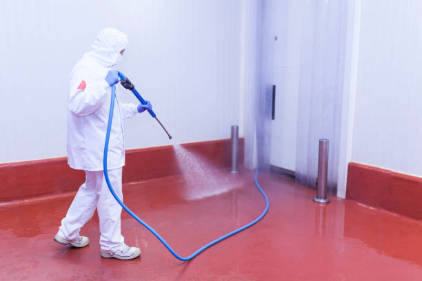 Best Oil Spill Cleanup  in Summit Park, UT